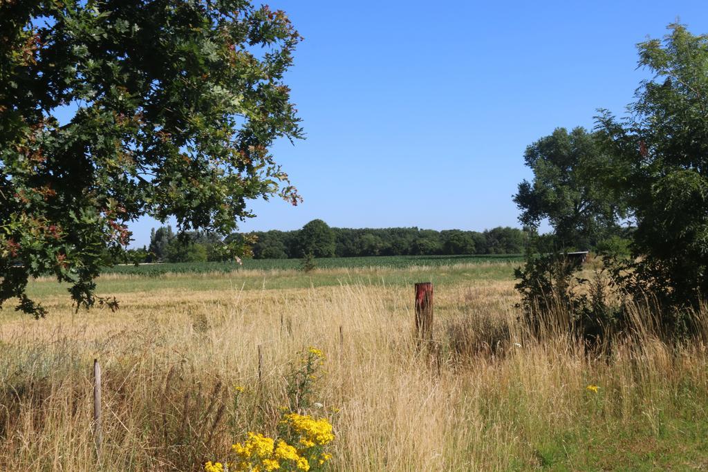 Gastenlogies Blauwe Schaap Ranst Extérieur photo